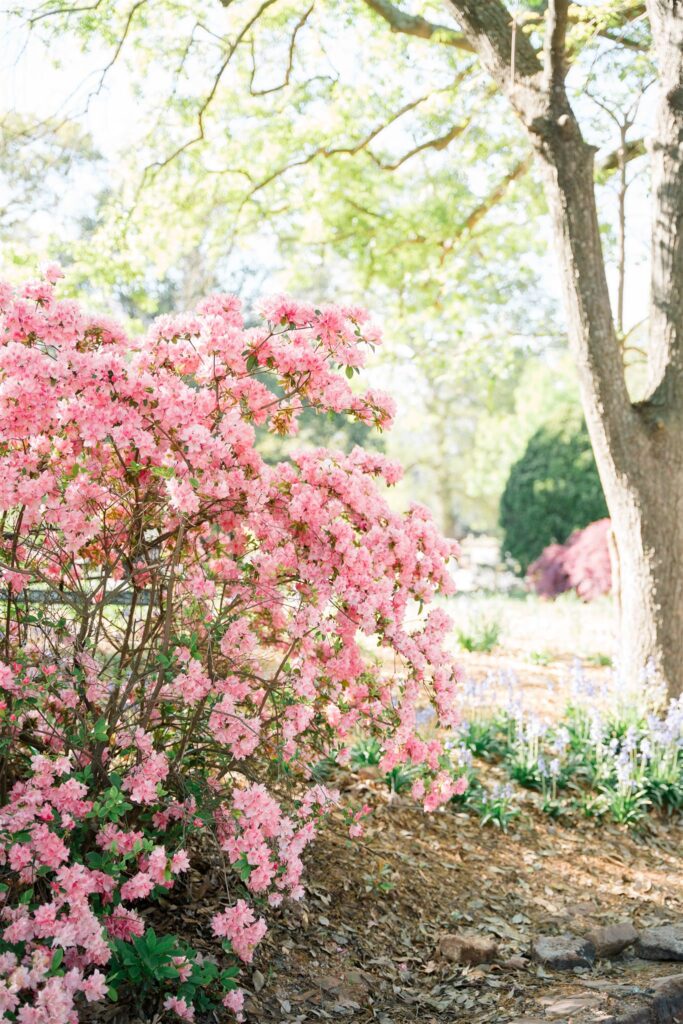 atlanta engagement photographer