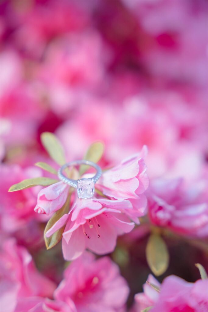 atlanta engagement photographer